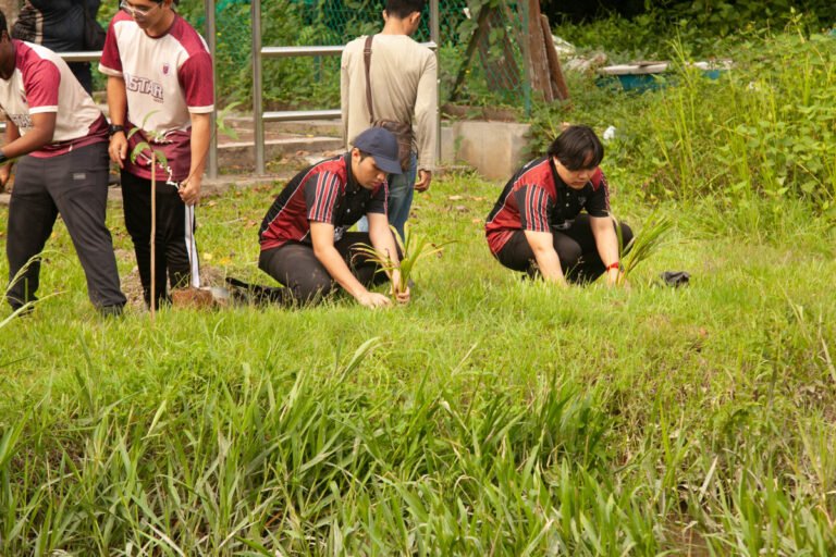 Ex 1  Menanam pokok beremabang