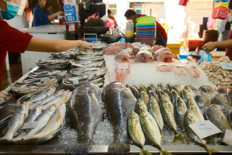 Gambar hiasan oleh Kelvin Zyteng - Unsplash